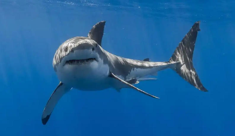 南通锦鑫机械制造有限公司轮播图4