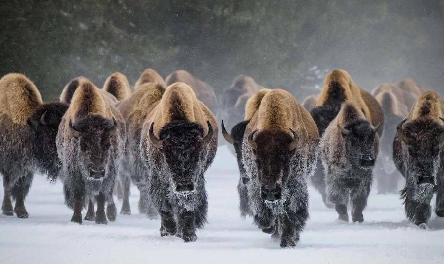 南通锦鑫机械制造有限公司轮播图3